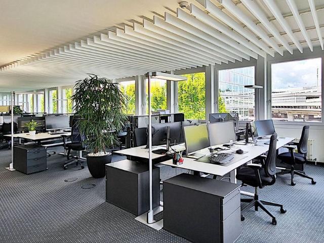 Büro kaufen in Lü