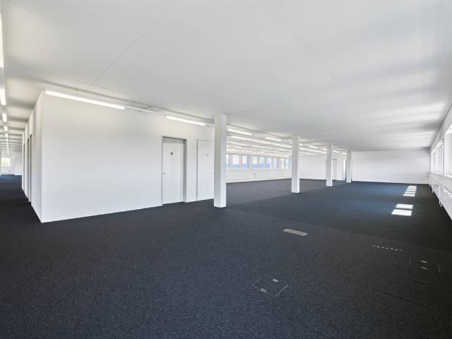 Büro kaufen in Möhlin, Aargau