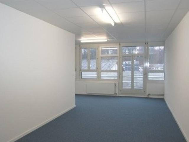 Büro kaufen in Münchenstein, Basel-Landschaft