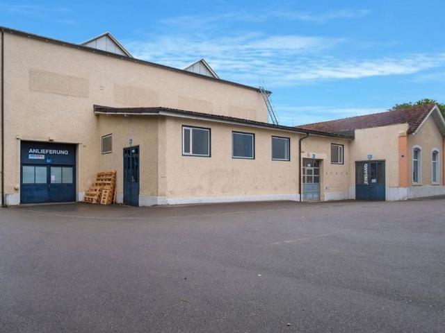Büro kaufen in Neftenbach, Zürich
