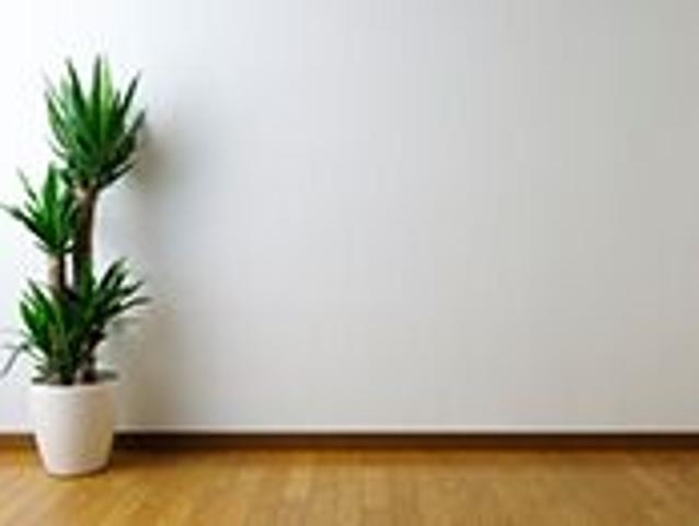 Büro kaufen