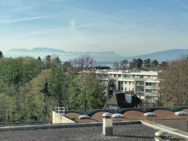 Büro kaufen in Nyon, Waadt