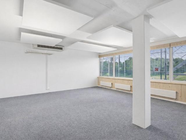Büro kaufen in Obfelden, Zürich