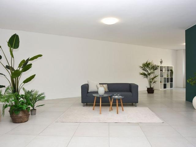 Büro kaufen in Paradiso, Tessin