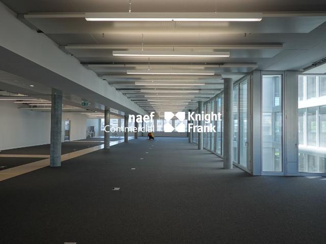 Büro mieten in ZIPLO, Plan-les-Ouates