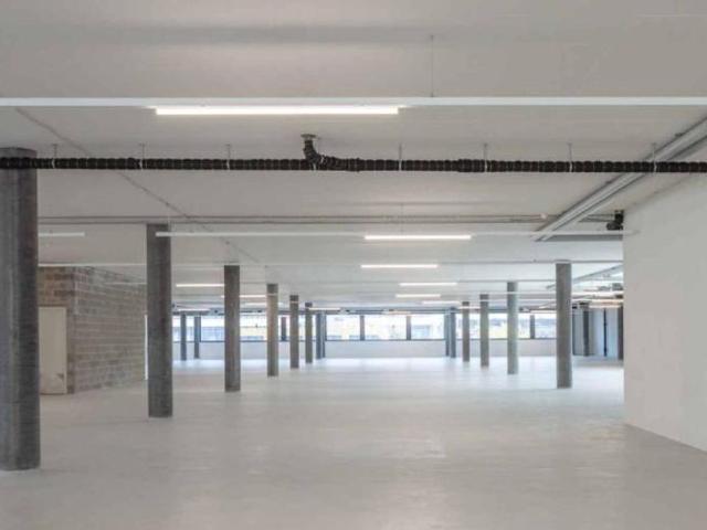 Büro kaufen in Plan-les-Ouates
