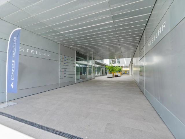 Büro kaufen in Plan-les-Ouates