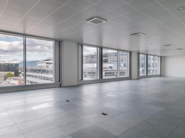 Büro kaufen in Plan-les-Ouates