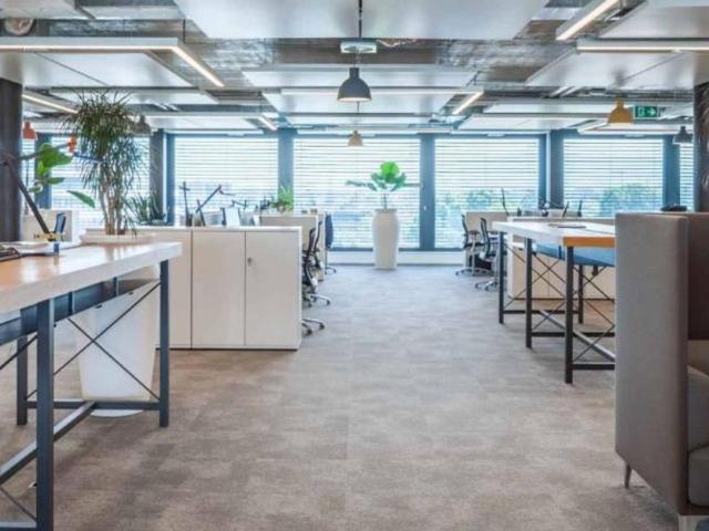 Büro kaufen in Plan-les-Ouates