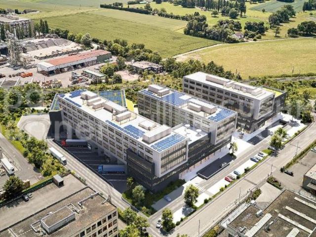 Büro kaufen in Satigny