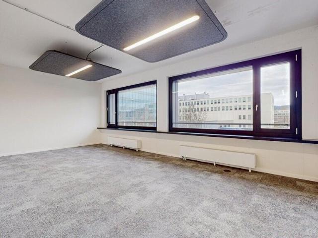 Büro mieten in Schlieren, Bezirk Dietikon