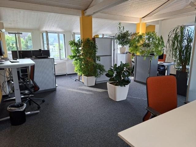 Büro kaufen in Schwyz