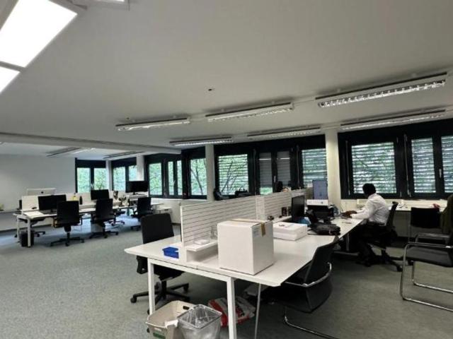 Büro kaufen in Les Mayens-de-Sion, Wallis