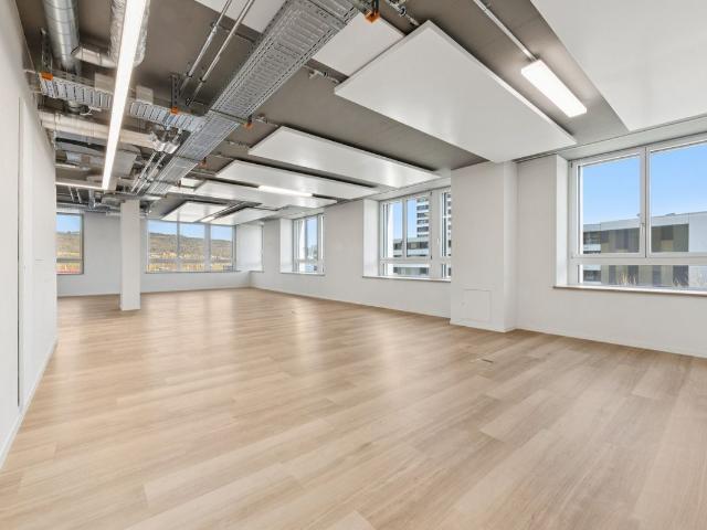 Büro kaufen in Spreitenbach, Aargau