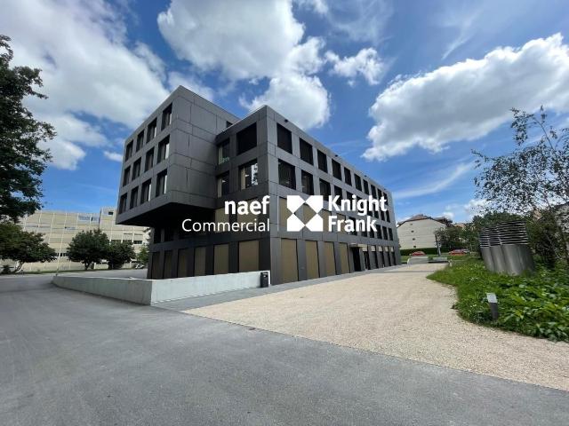 Büro kaufen in Aïre