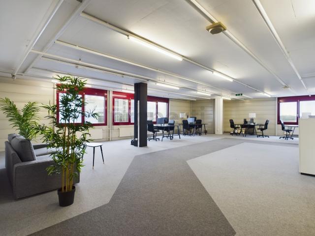 Büro kaufen