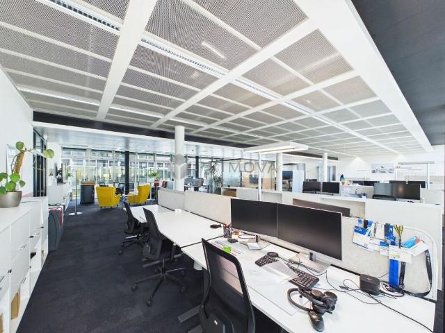 Büro kaufen