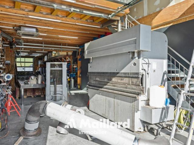 Büro kaufen in Moudon, Waadt