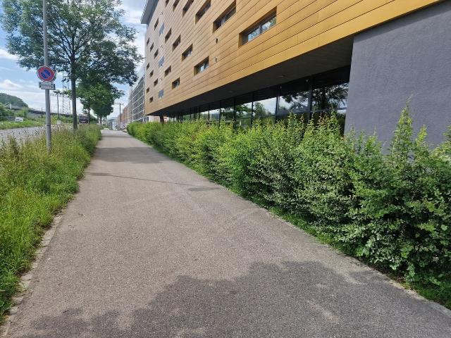 Büro kaufen in Adliswil, Zürich