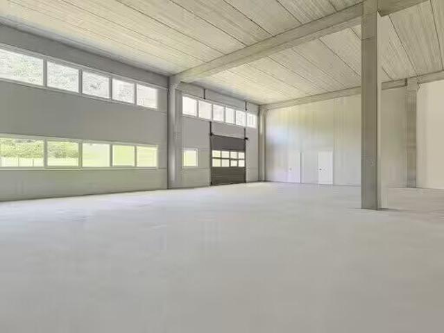 Büro kaufen in Bedano, Tessin