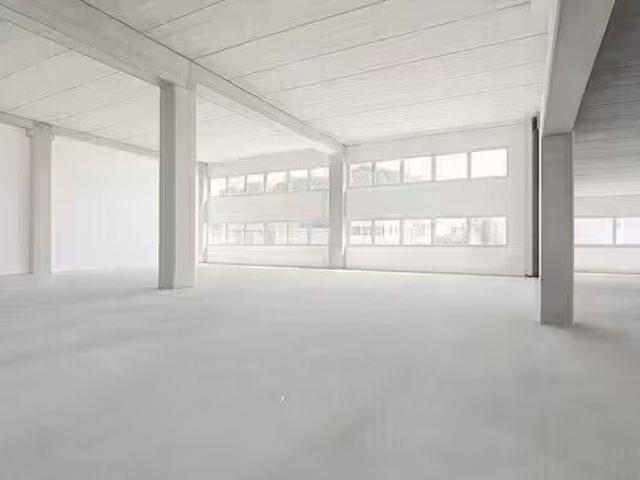 Büro kaufen in Bedano, Tessin