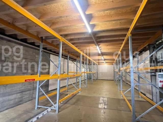 Büro kaufen in Carouge (GE)