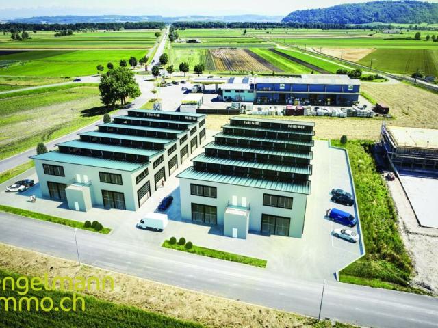 Büro kaufen in Ins, Bern