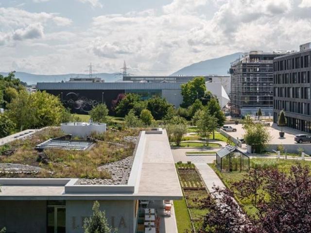 Büro kaufen in Meyrin