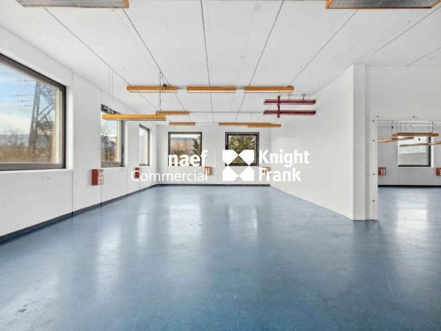 Büro kaufen in Meyrin