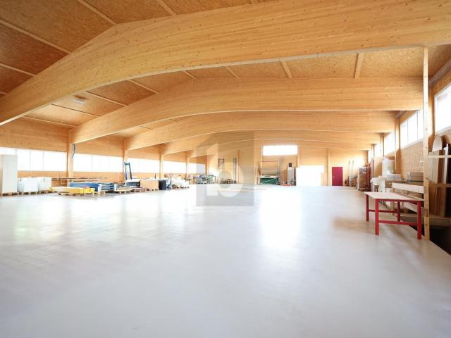 Büro kaufen in Oberbipp, Bern