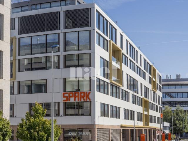 Büro kaufen in Plan-les-Ouates