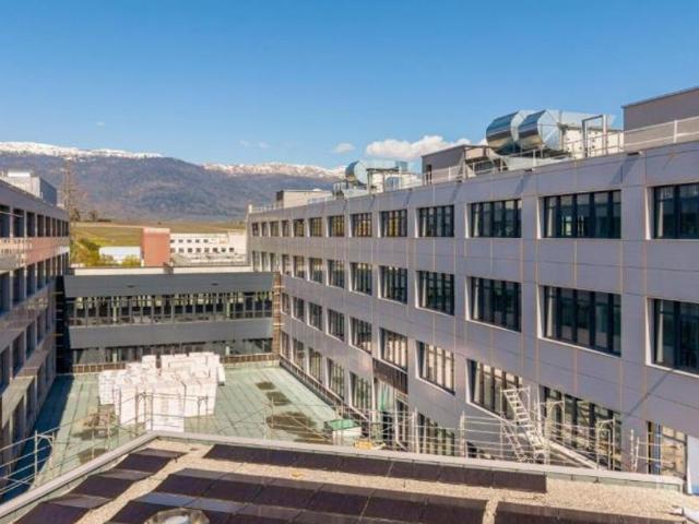 Büro kaufen in Satigny