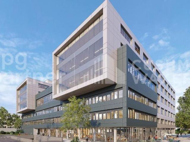 Büro kaufen in Satigny