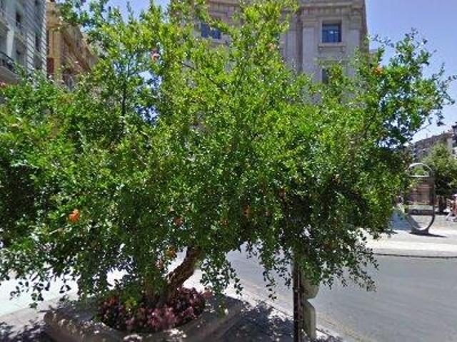 Oficina en venta en Granada