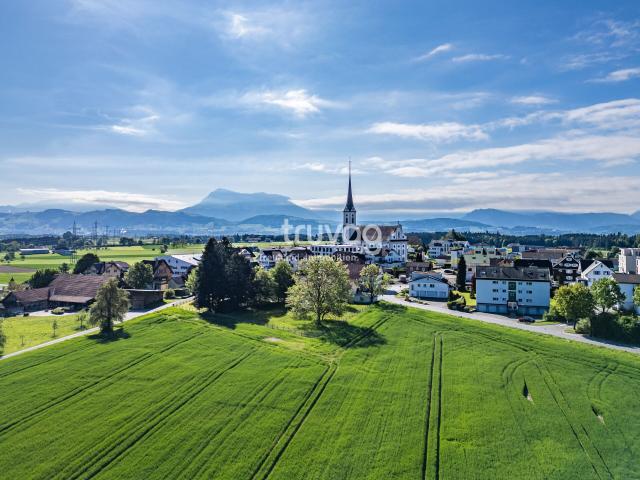 Büro kaufen in Lü