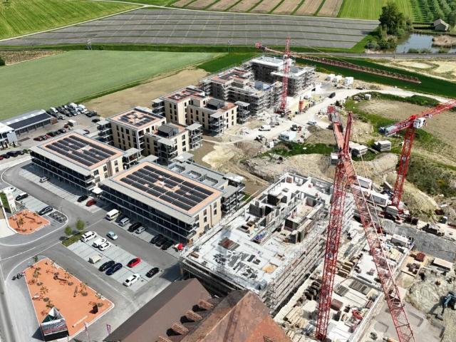 Büro kaufen in Berg (TG), Thurgau