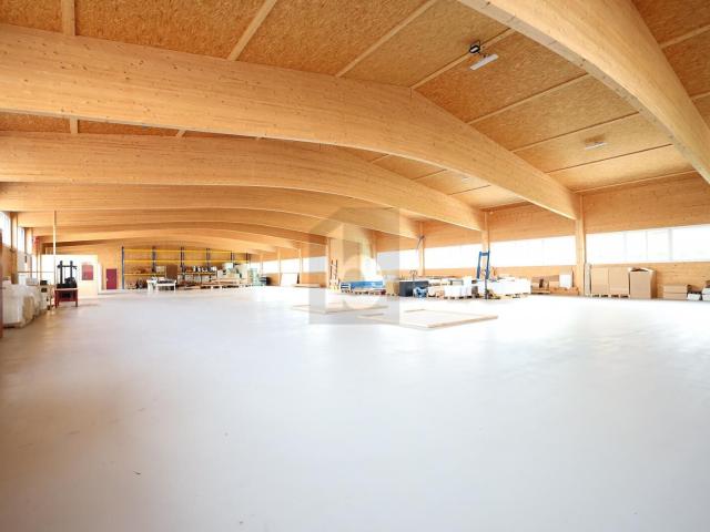 Büro kaufen in Oberbipp, Bern