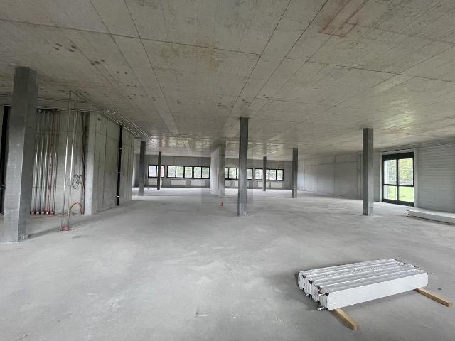 Büro kaufen