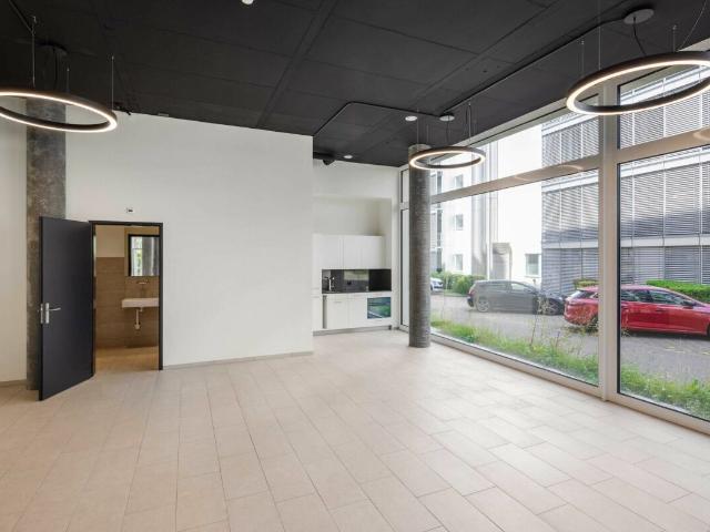 Büro kaufen in Spreitenbach, Aargau