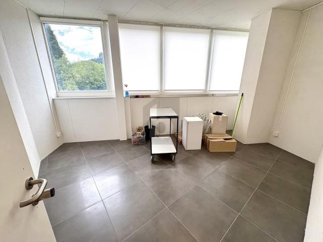 Büro mieten in Schindellegi, Feusisberg