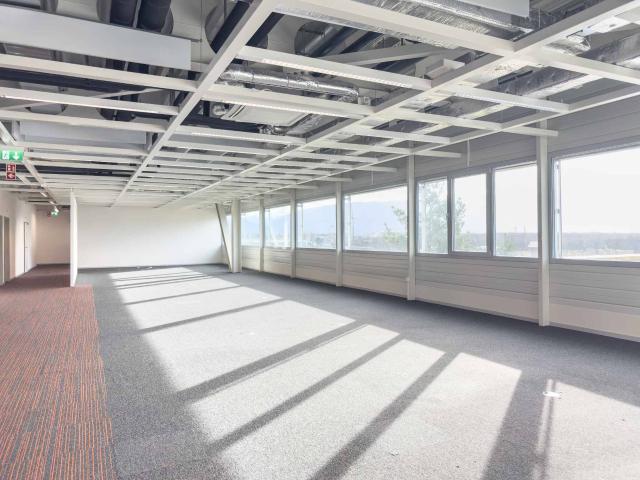 Büro kaufen in Aïre