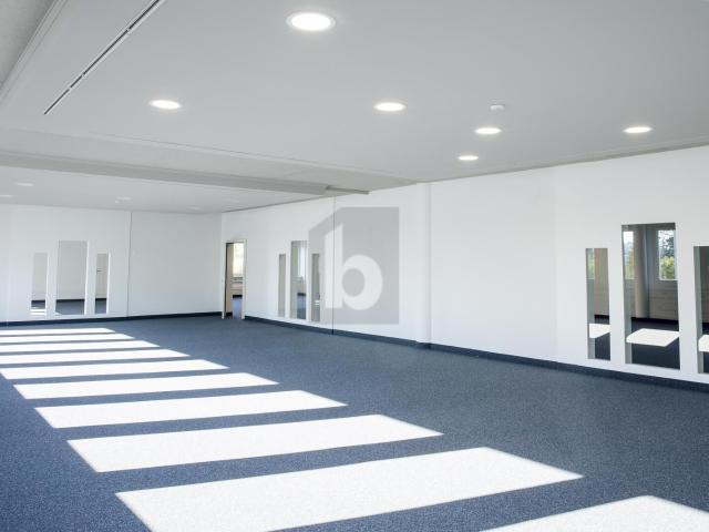 Büro kaufen in Wallisellen, Zürich
