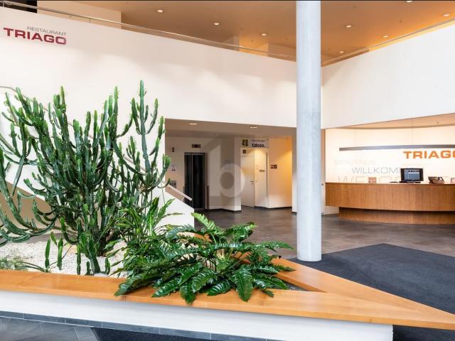 Büro mieten in Pratteln, Basel-Landschaft