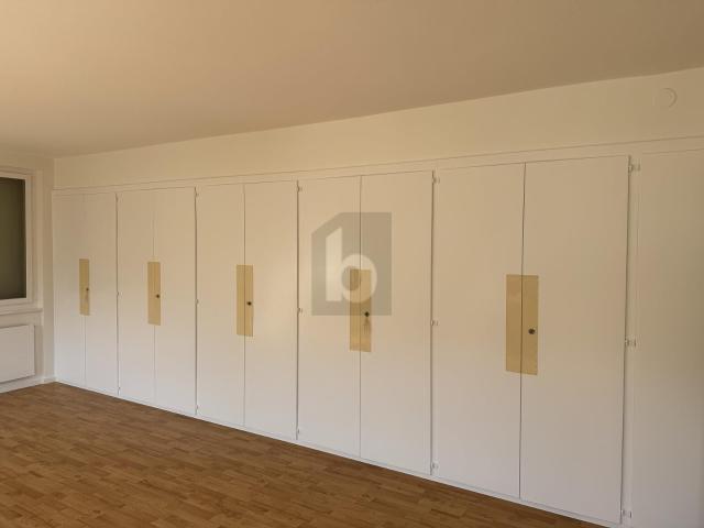 Büro kaufen in Les Mayens-de-Sion, Wallis