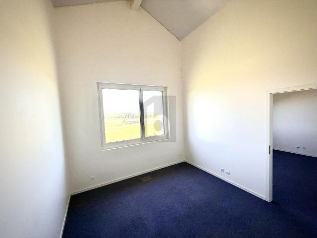 Büro kaufen