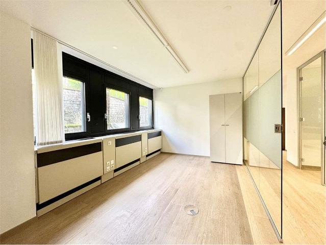 Büro kaufen in Aldesago, Tessin