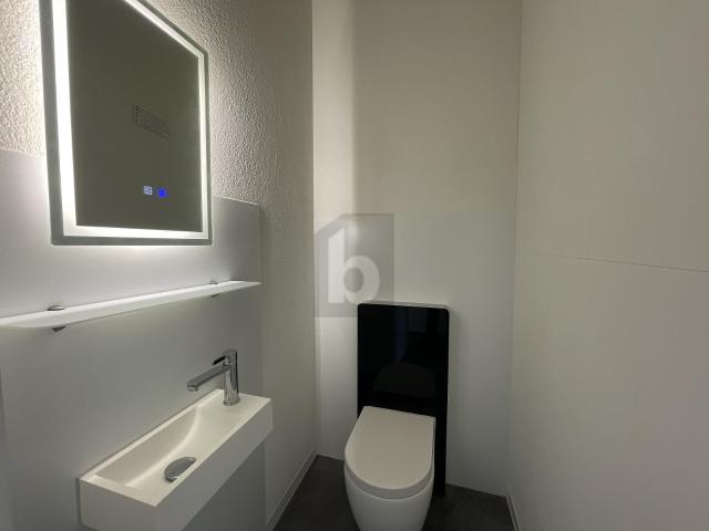 Büro kaufen in Wangen an der Aare, Bern