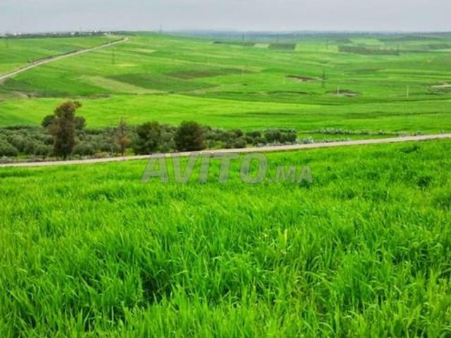 Propriété vente à Mohammedia, Gharb-Chrarda-Beni Hssen