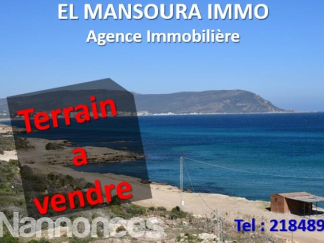 Terrain vente
