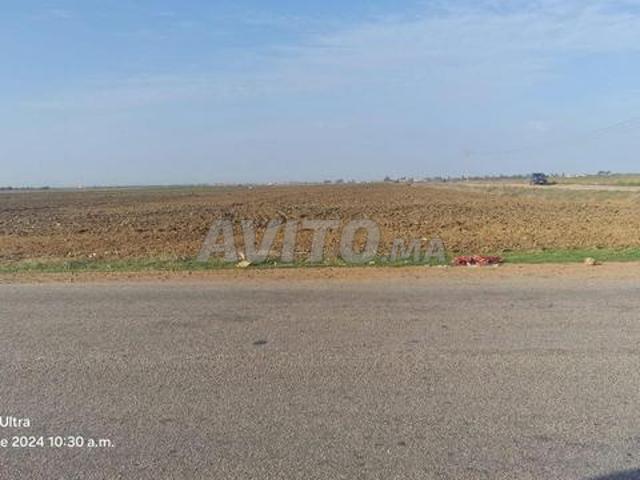 Propriété vente à Ksar el-Kebir القصر الكبير, Province de Larache إقليم العرائش